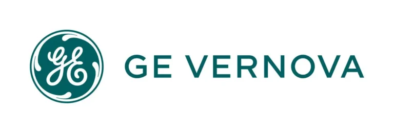 GE-Vernova-Inc.logo_.webp